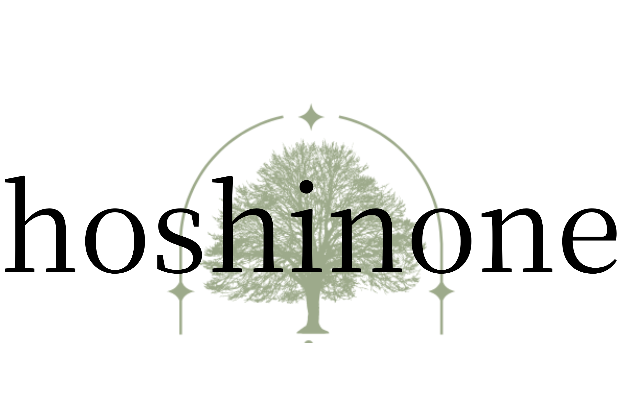 腸セラピーサロン　hoshinone